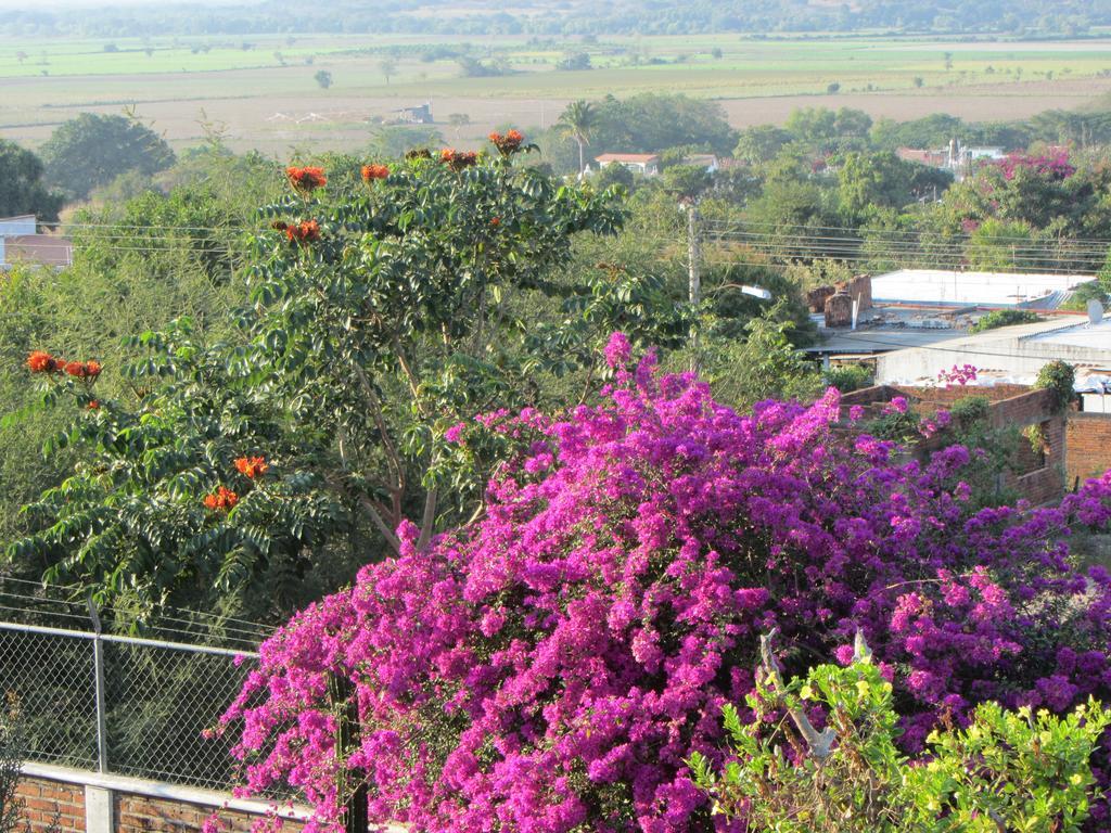 Bed and Breakfast La Colorada à Zacualpan Extérieur photo